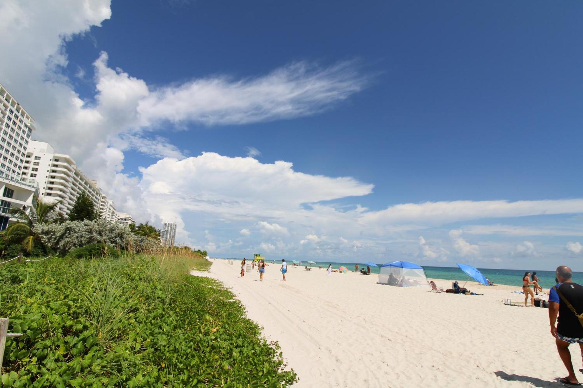 Castle 835 Oceanview Studio On Beach With Pool, Gym, Bars, And Free Parking Miami Beach Dış mekan fotoğraf